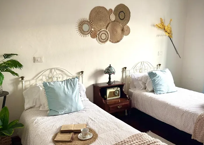 Canary House By Deihu Experiences * سان ميغيل ذي أبونا